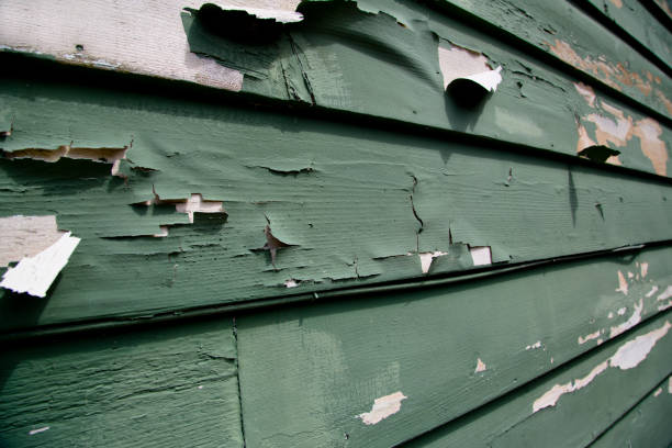 Best Siding Painting and Refinishing  in Frazier Park, CA